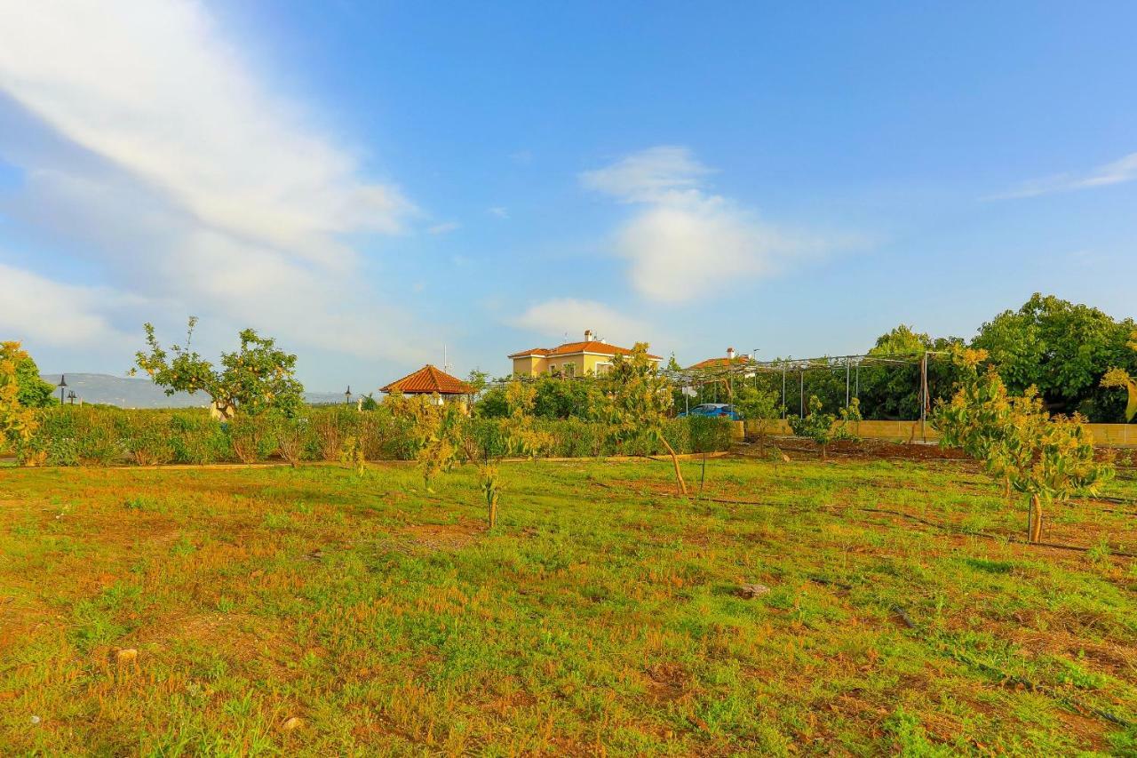 Villa Athina Finiki Polis ภายนอก รูปภาพ